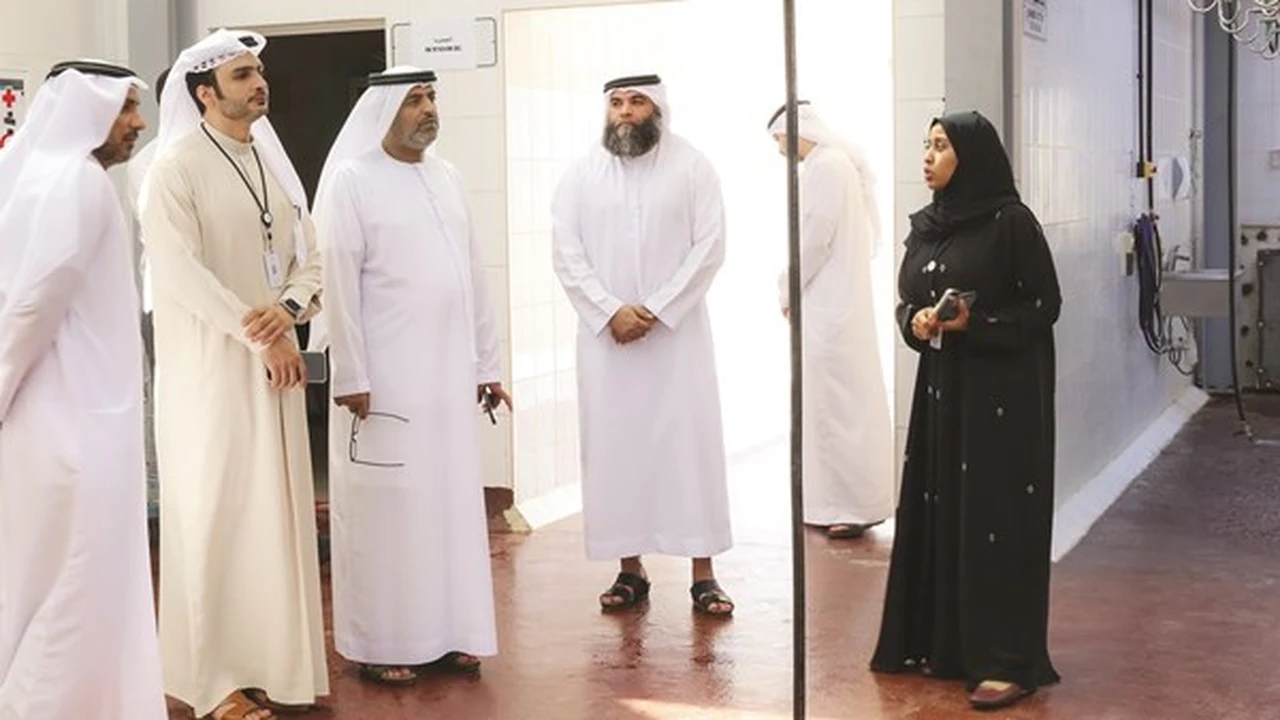 «دبا الحصن» تستقبل عيد الأضحى بخطة متكاملة